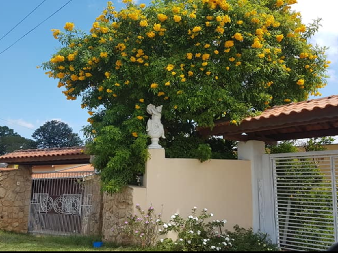 Residencial Geriátrico Campo Limpo